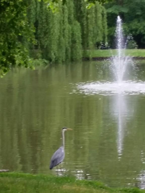 Traumparadies Bad Sulza Zewnętrze zdjęcie